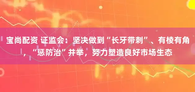 宝尚配资 证监会：坚决做到“长牙带刺”、有棱有角，“惩防治”并举，努力塑造良好市场生态